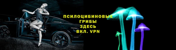 кристаллы Покачи