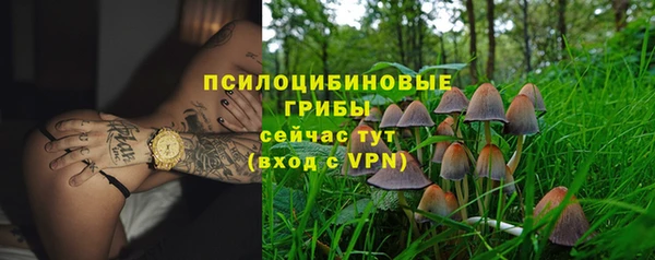 кристаллы Покачи