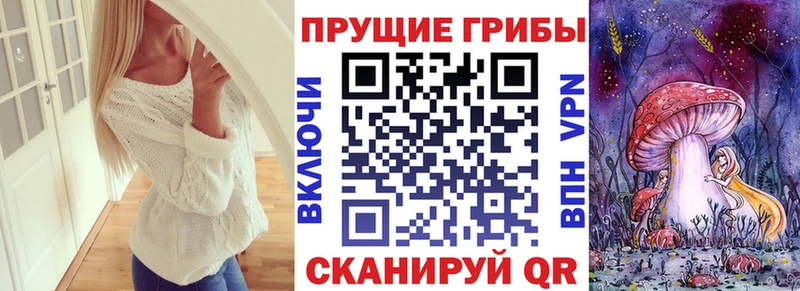 Галлюциногенные грибы прущие грибы  сколько стоит  Шилка 